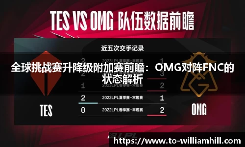 全球挑战赛升降级附加赛前瞻：OMG对阵FNC的状态解析