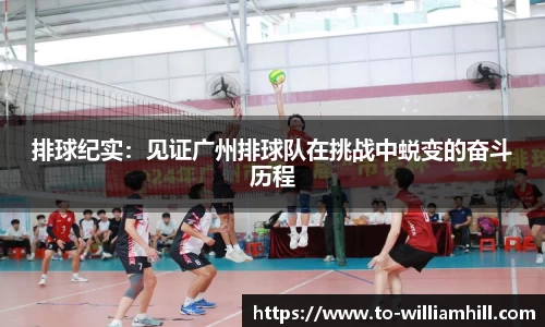 排球纪实：见证广州排球队在挑战中蜕变的奋斗历程