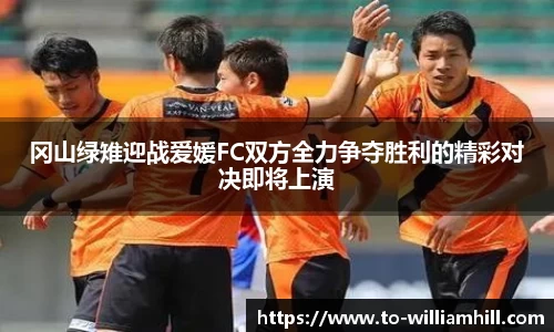 冈山绿雉迎战爱媛FC双方全力争夺胜利的精彩对决即将上演